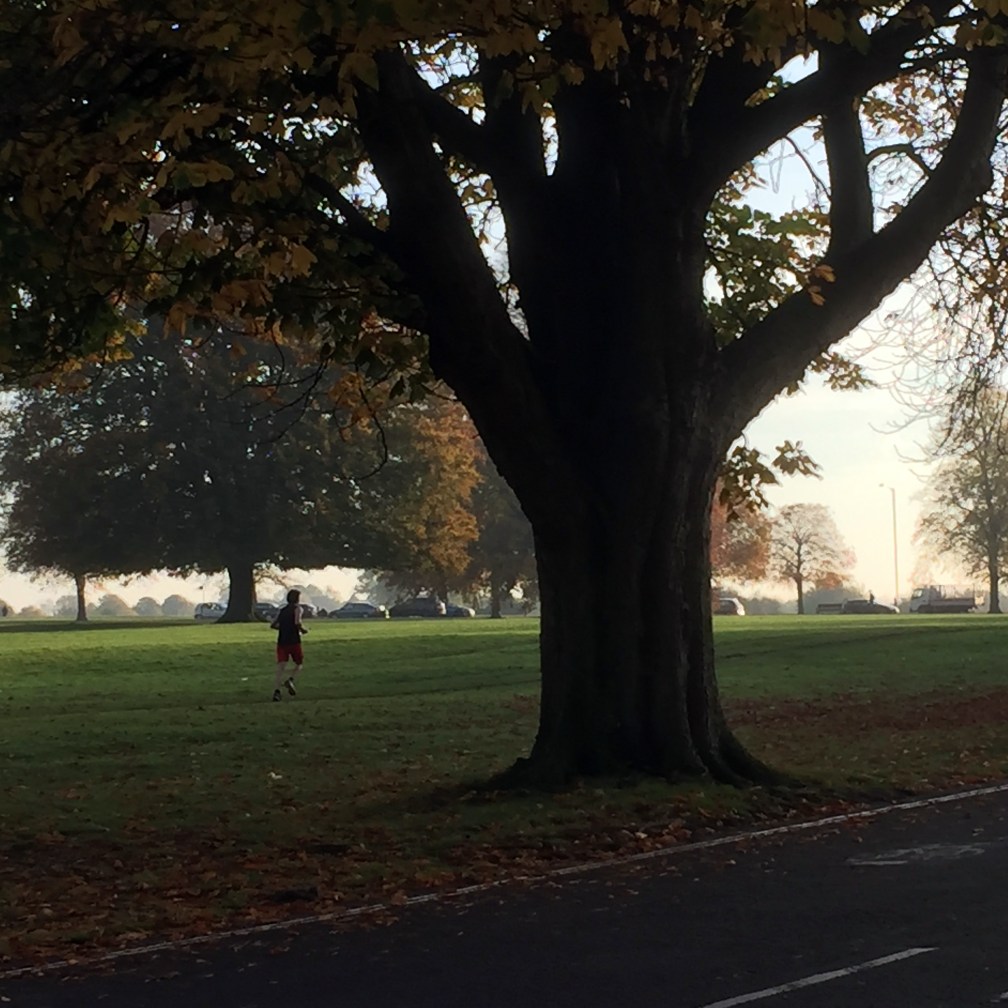 ထိုင်သည် မှ ၅ ကီလို : Couch to 5K